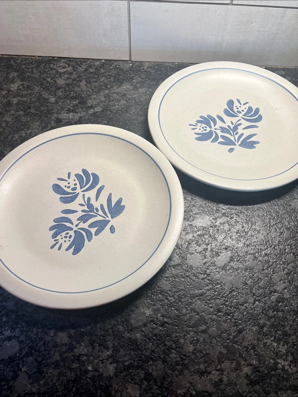 10” Pfaltzgraff Yorktowne Blue Floral Ceramic Dinner Plates - Set of 2